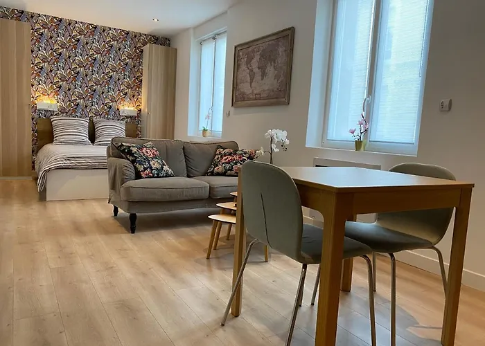 Studio 28M2 Avec Parking Prive - Lycee Roosevelt - Arena - Gare